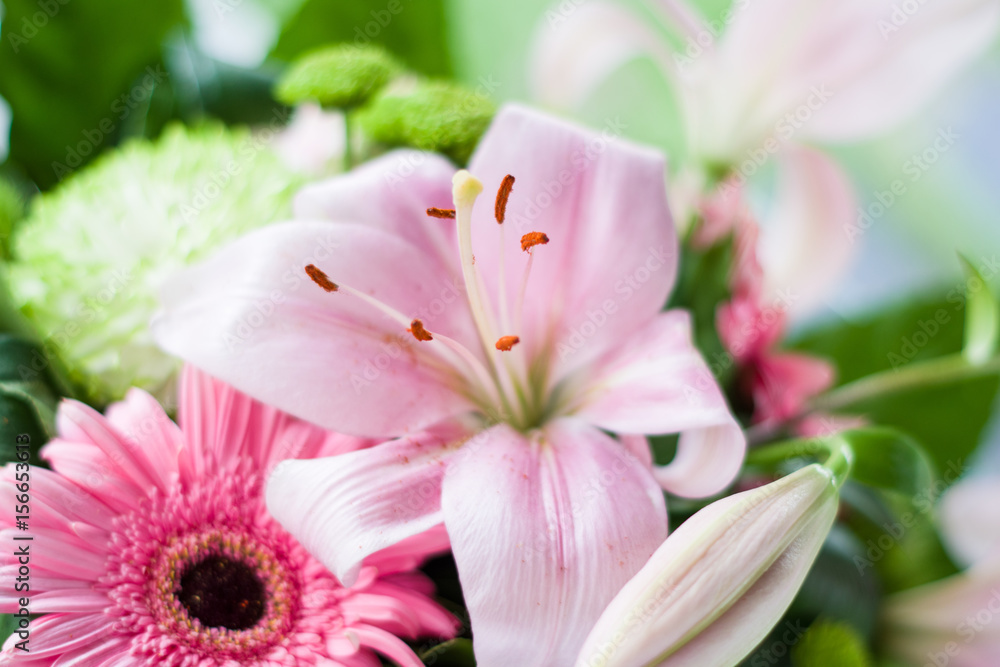 Fototapeta premium Gros plan sur un bouquet de fleurs roses