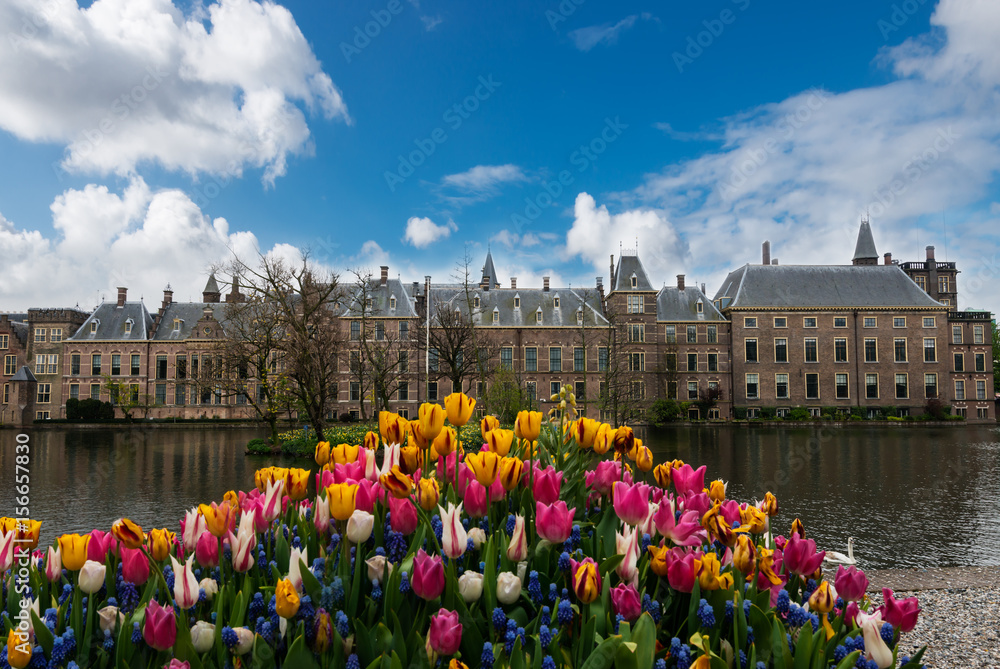 Binnenhof palace, Dutch parliament,  the Hague, Den Haag, Netherlands
