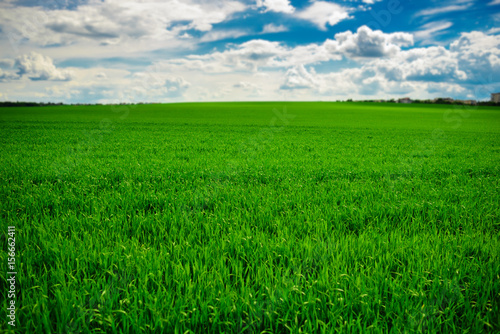 Green grass field and bright blue sky background