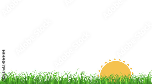 erba, prato, vettoriale, sfondo