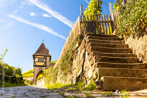 Tableau sur toile view of Esslingen am Neckar Germany old vineyards at Neckarhalde
