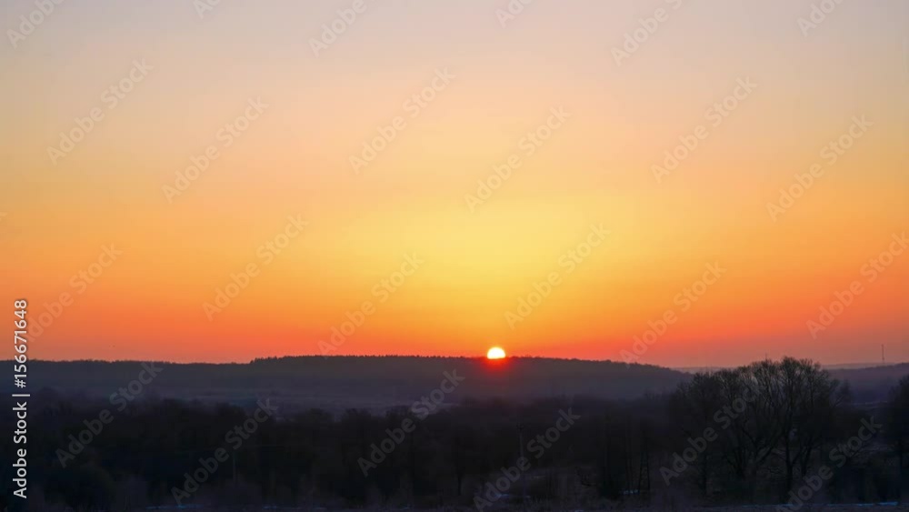 The rising sun against the black silhouettes of the trees in early spring in pink haze The rising sun against the black silhouettes of the trees in early spring in pink haze