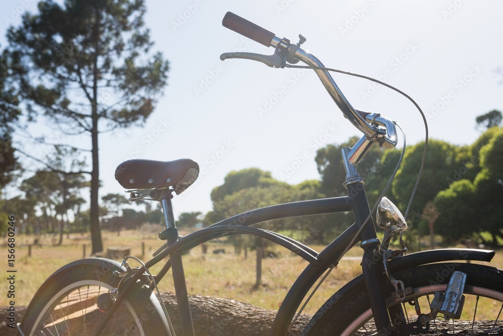 Naklejka premium Bicycle parked in the park