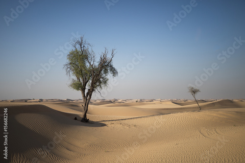 Wüsten-Landschaft