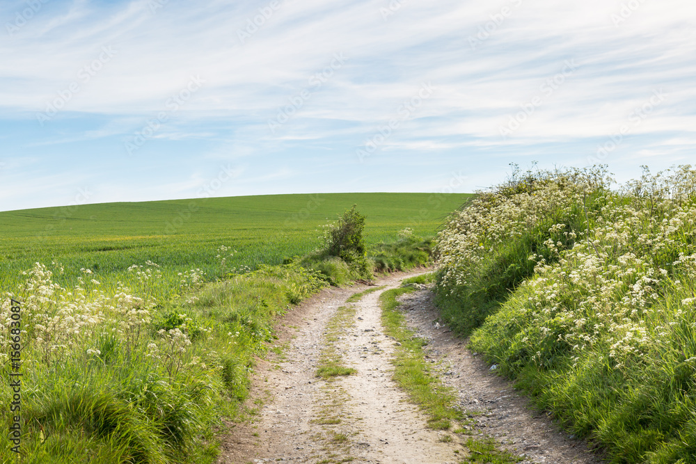 Pathway through the countryside Pathway through the countryside