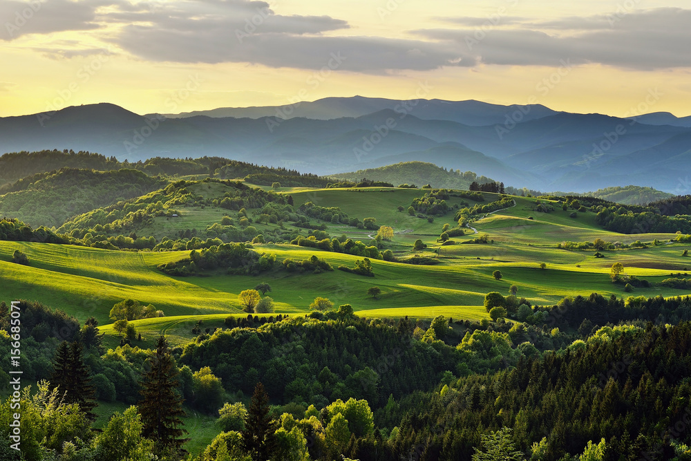 Spring forest and meadows landscape in Slovakia. Evening scenery panorama. Fresh trees and pastures. Sunlit country.