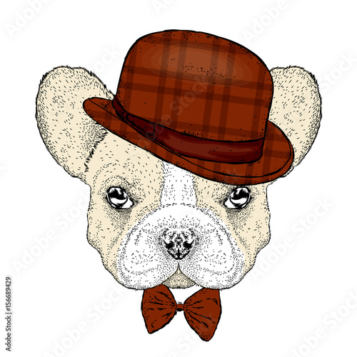 Funny bulldog with a hat and a butterfly. Vector illustration. Beautiful dog.