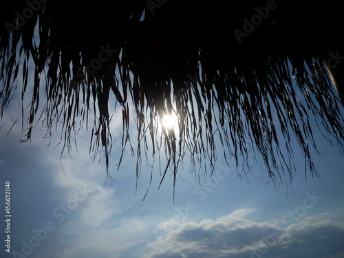 Sunlight