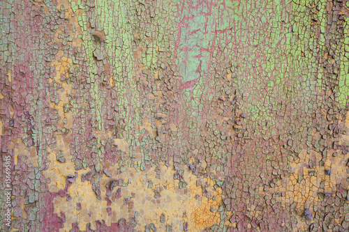 multicolor aged paint on wooden door grunge texture © Thomas