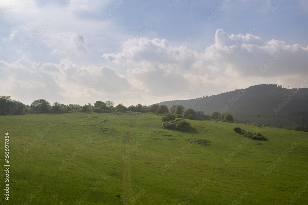 Green meadow during sunny and cloudy afternoon. Slovakia