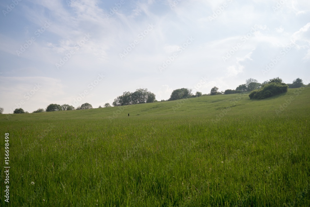Green meadow during sunny and cloudy afternoon. Slovakia Green meadow during sunny and cloudy afternoon. Slovakia