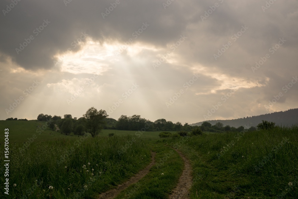 Sunset on meadow with hills and tree. Slovakia