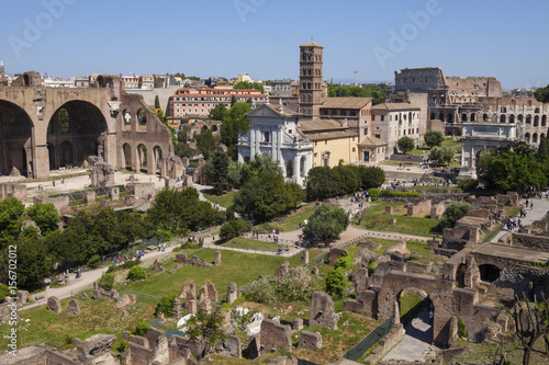 Slika na platnu Panorama of the Roman Forum. View from the hill Palatine.