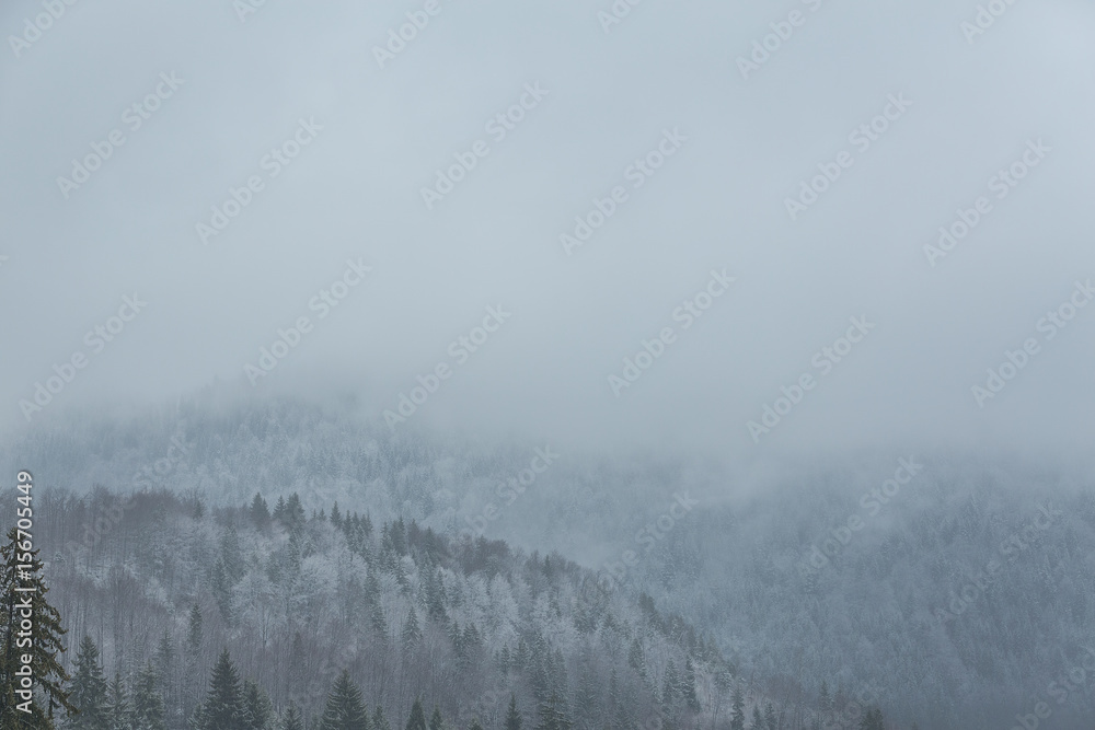 Rolling hills covered in woods in fog Rolling hills covered in woods in fog