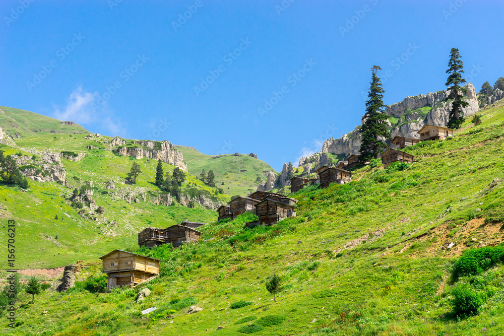 Summer Mountain Plateau Lekoban Highland with Artvin, Turkey