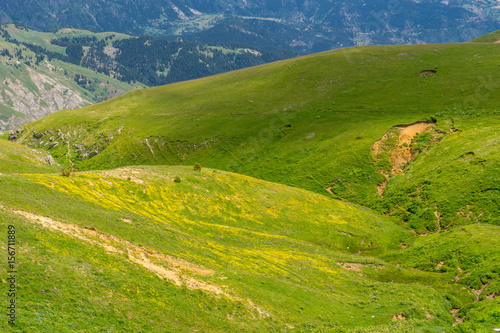 Fototapeta Naklejka Na Ścianę i Meble -  Summer Mountain Plateau Highland with Artvin, Turkey