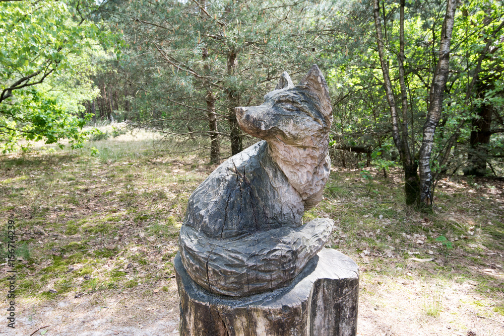 Obraz premium Fuchs in den Massduinen