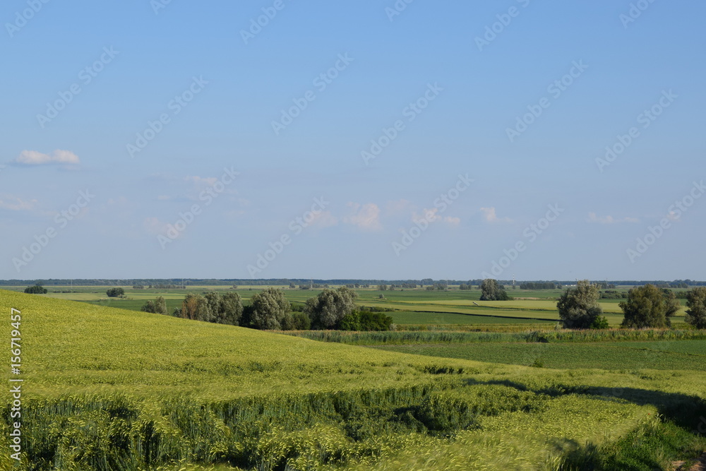 Agricultural land in the spring