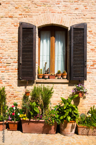 Window with wooden shutters of old house and cactuses