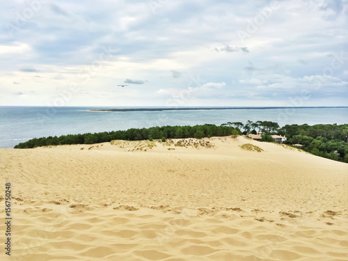 View from Dune of Pilat, France photo