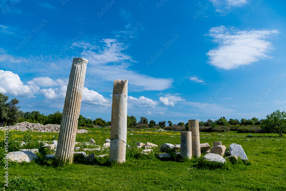 Columns and marble decorations remains  at Teos ancient city, Seferihisar, Izmir,Turkey