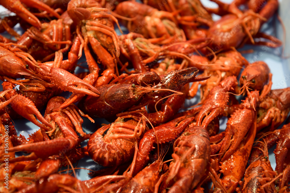 Close-up of boiled shrimps as a background . Close-up of boiled shrimps as a background .