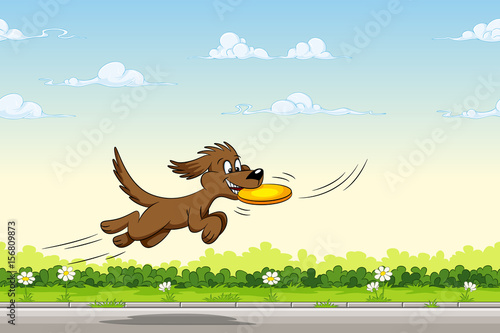Dog catches a frisbee in the jump