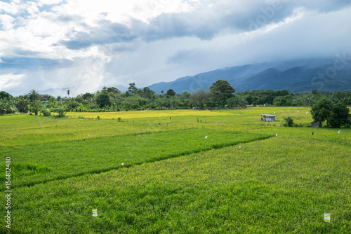 View of traditional paddy field during stormy sunset in Tenom, Sabah, Malaysia. photo