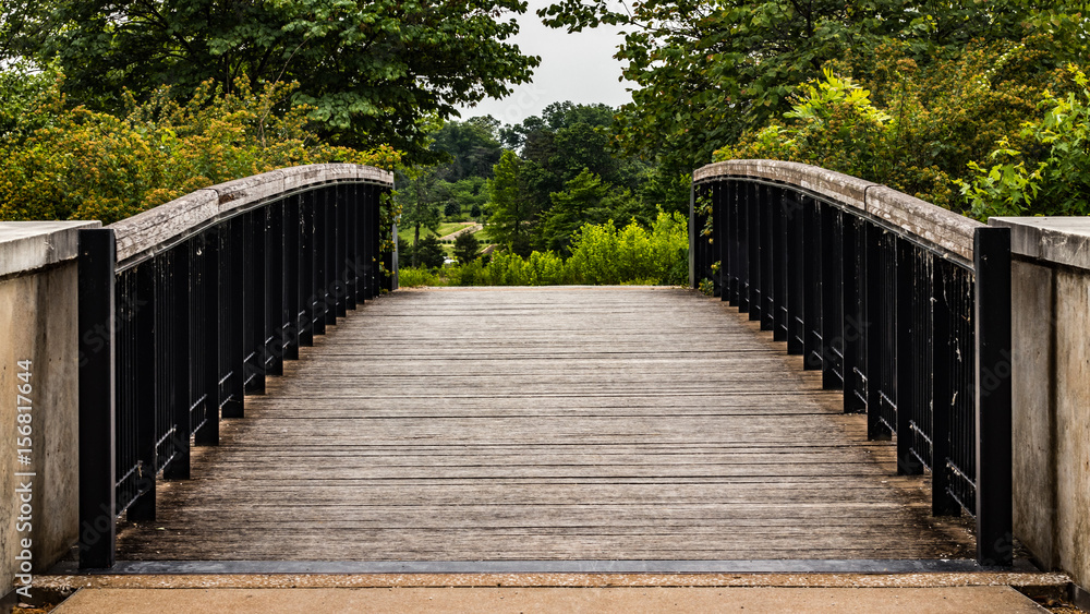 Fototapeta premium bridge
