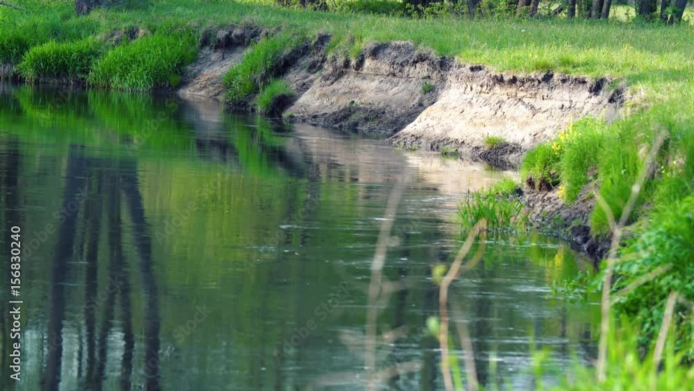 A small river in the spring. Greenery and clear water. Natural nature. Video resolution 4k A small river in the spring. Greenery and clear water. Natural nature. Video resolution 4k