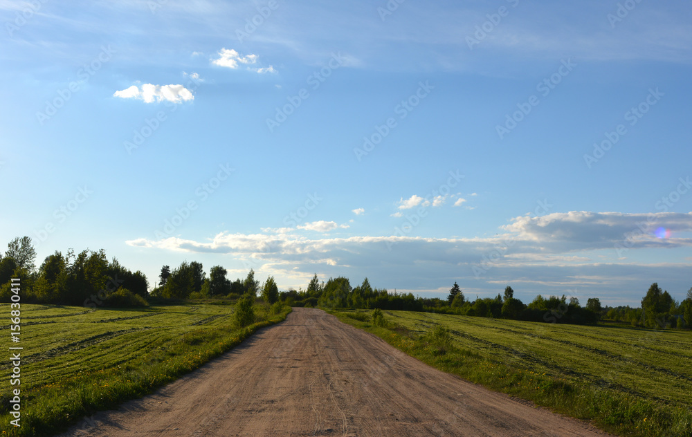 Obraz premium Beautiful countryside rural evening landscape: a sandy road between fields with sloping green grass, nature