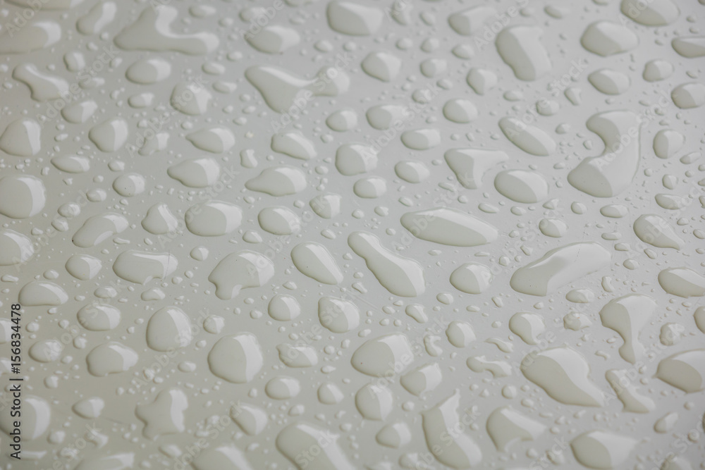 Water drops on white blackground . Water drops on white blackground .