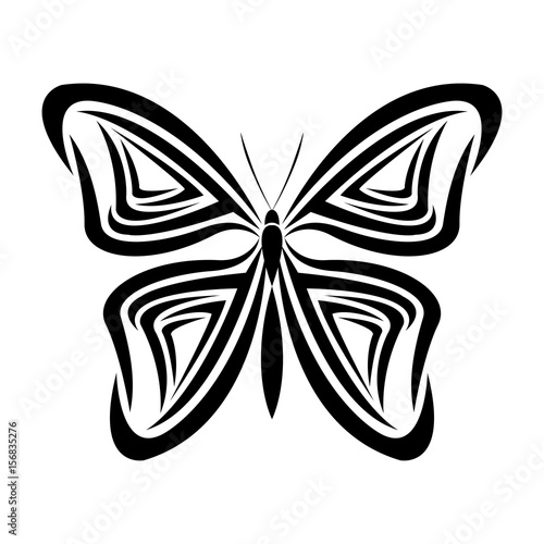butterfly tribal tatto animal creativity design vector illustraiton