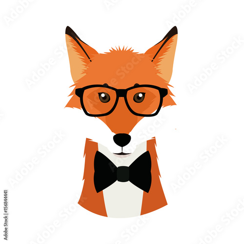 hipster fox wear bow and glasses fashionable icon vector illustration