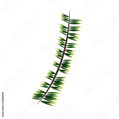green branch pine tree nature christmas vector illustration