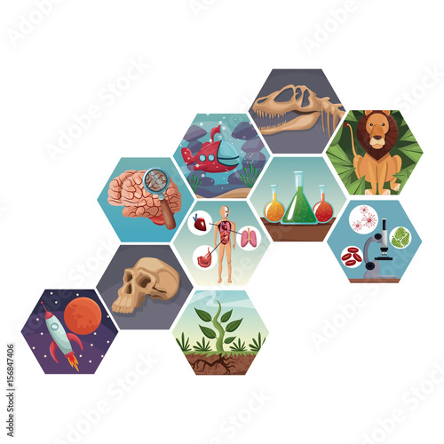 color geometric abstract figures with icons world evolution vector illustration