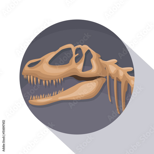 circular frame shading of poster closeup prehistory skeleton dinosaur vector illustration