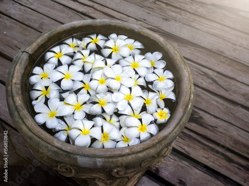 Close up view of spa theme and Frangipani plumeria Spa Flower in retro jar. photo