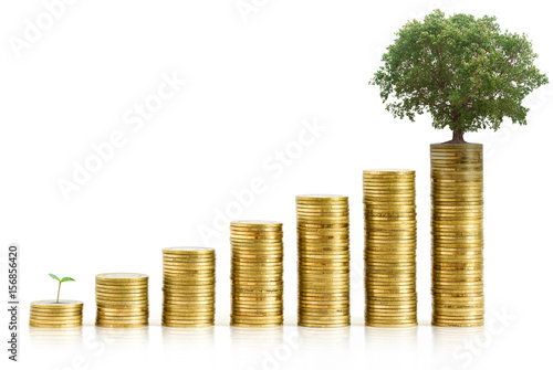 Coins stacks