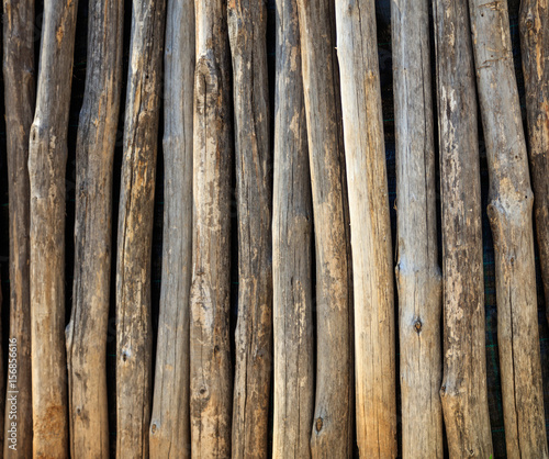 Wooden tree trunks fence