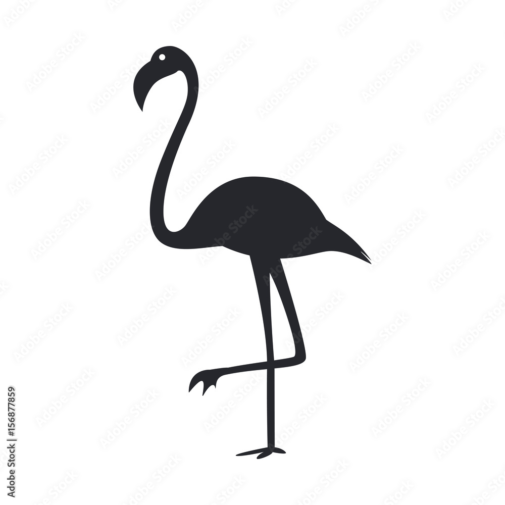 Fototapeta premium Vector illustration of black silhouette flamingo