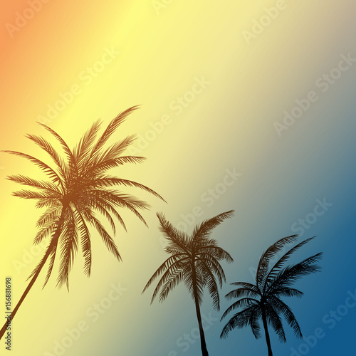 summer palm california