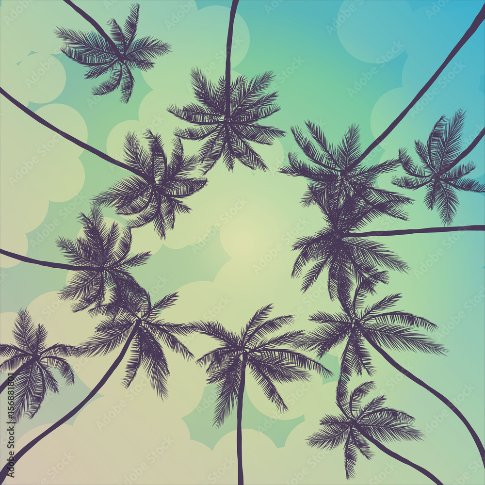 summer palm trees california