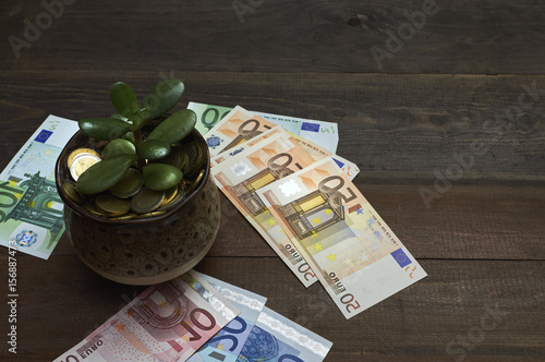 Crassula with money on wooden table