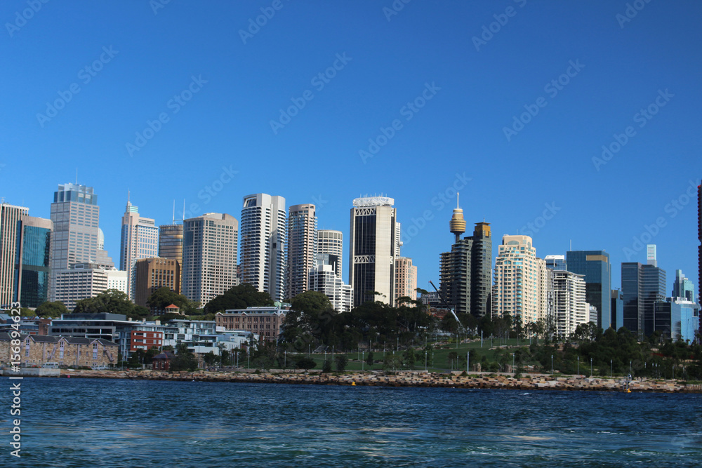 Fototapeta premium Sydney- Skyline