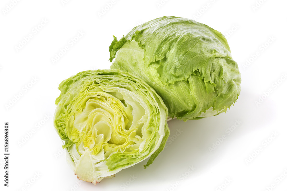レタス lettuce レタス lettuce