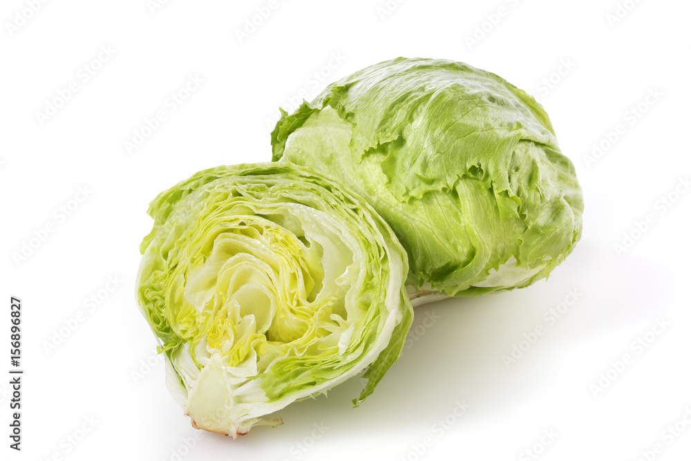 レタス lettuce レタス lettuce