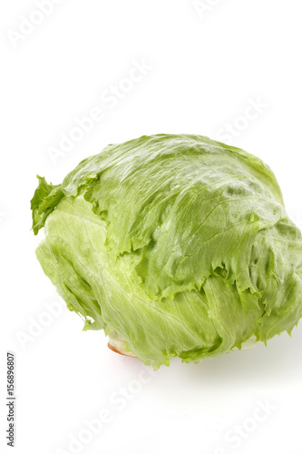 レタス lettuce