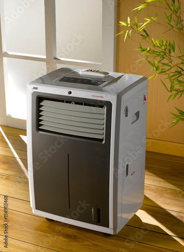 portable air conditioner on wood flooring, in the backgound a window and a plant