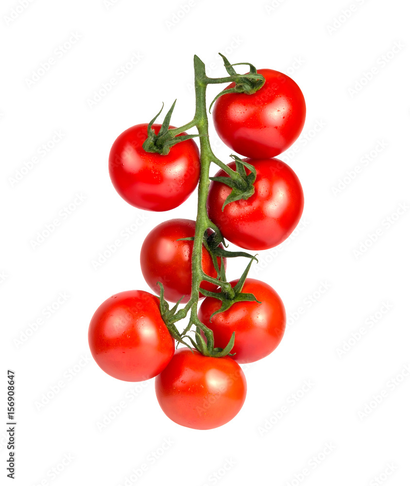 Red fresh tomatoes on a branch Red fresh tomatoes on a branch